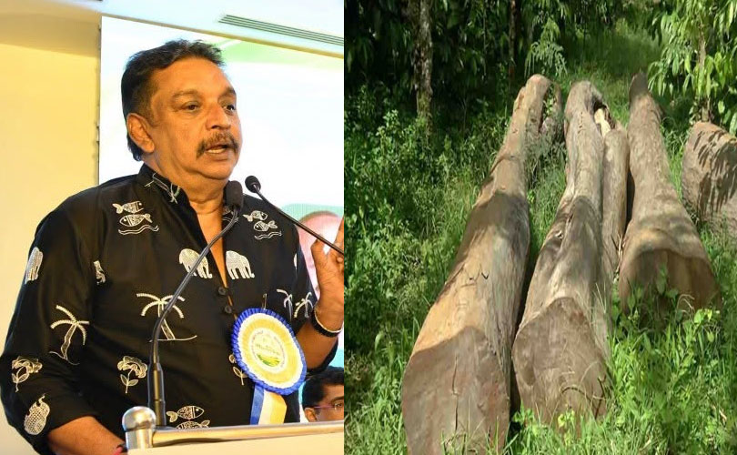 മുട്ടിൽ മരംമുറിക്കേസ്: ഗൂഢാലോചനയെക്കുറിച്ച് സമഗ്ര അന്വേഷണം വേണമെന്ന് മന്ത്രി ഷിബു ബേബി ജോൺ 
